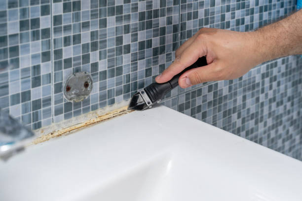Best Certified Mold Removal  in Laurie, MO